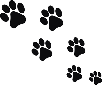 Dog Paw Prints Illustration 